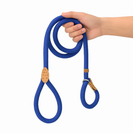 Laisse Lasso Pour Chien Moyen