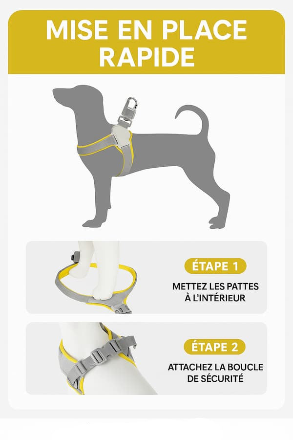 Harnais réfléchissant en Y pour chien, visibilité nuit