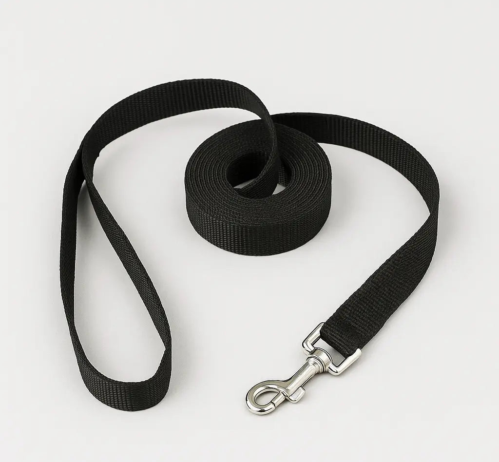 Longe Pour Chien 10 m