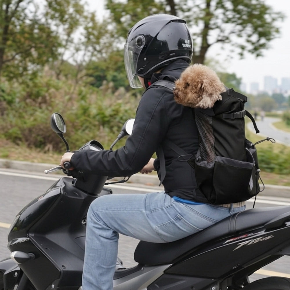 Sac à Dos de Transport pour Chien
