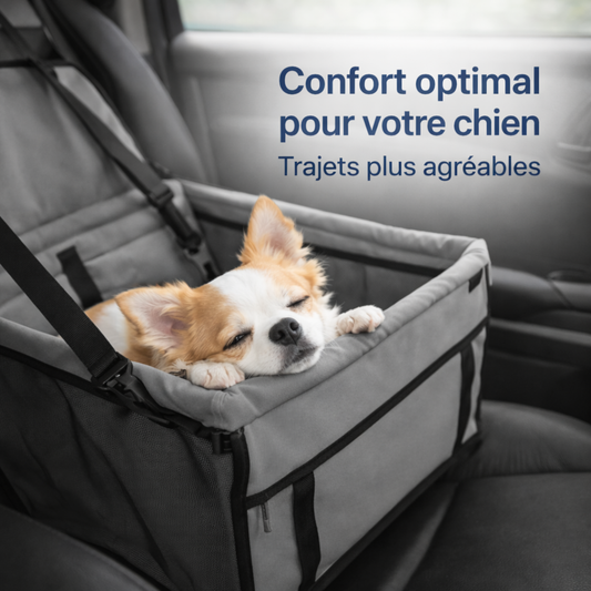 Siège auto confort pour chien