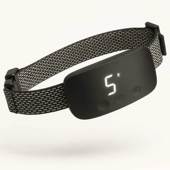 Collier De Dressage Automatique Pour Chien