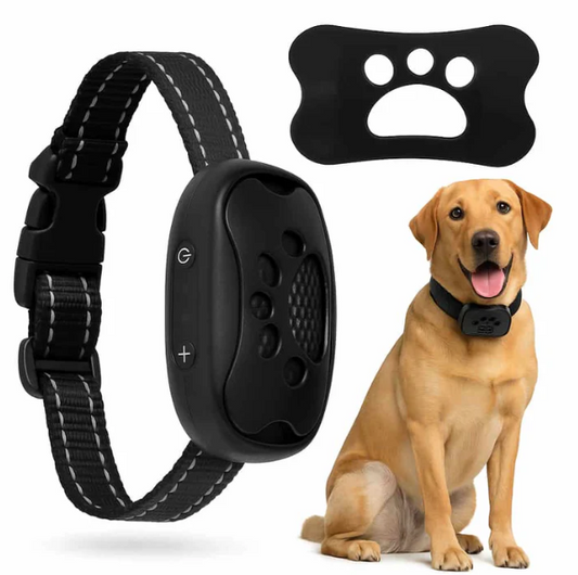 Collier Anti-Aboiement Pour Chien