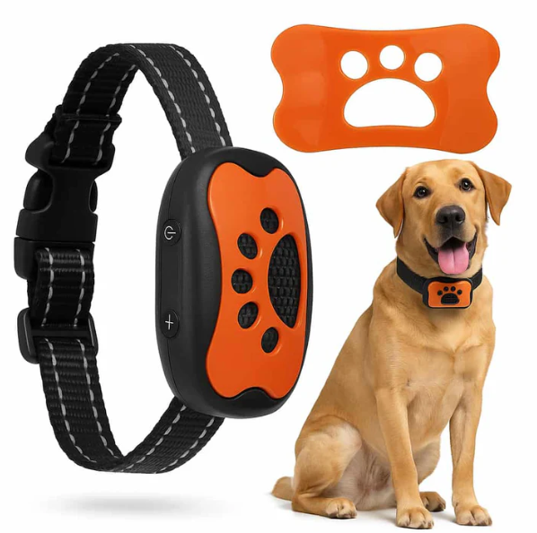 Collier Anti-Aboiement Pour Chien