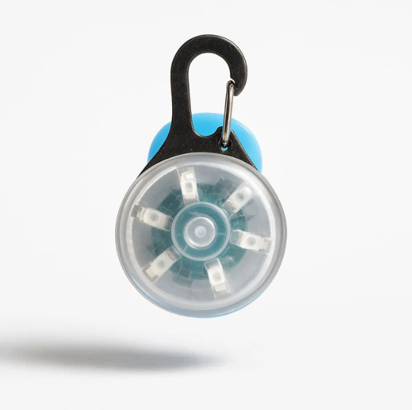 Médaille Lumineuse Collier Pour Chien