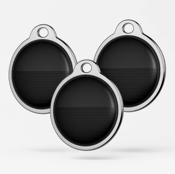 Médaille De Localisation Pour Chien Compatible Balise De Suivi