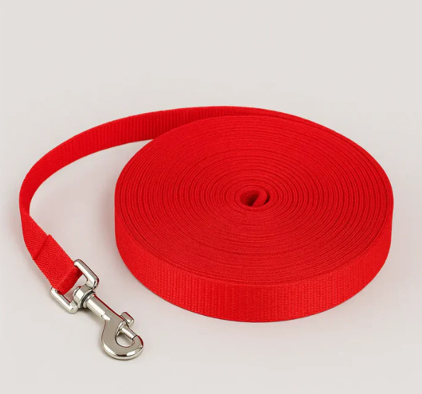 Longe Pour Chien 3 m