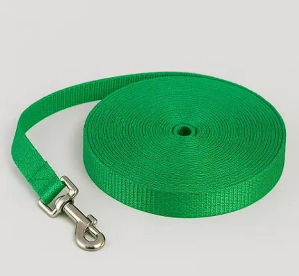 Longe Pour Chien 5 m