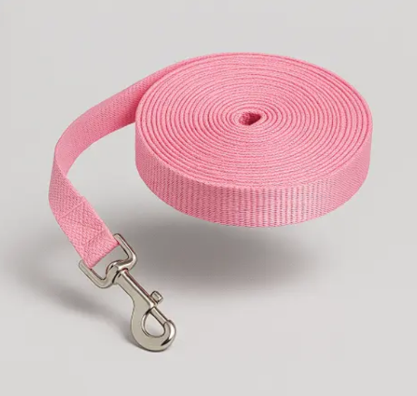Longe Pour Chien 5 m