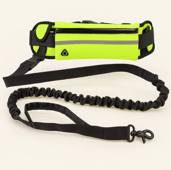 Laisse mains libres pour chien avec poche