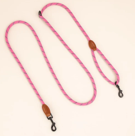 Laisse Mains Libre Pour Chien | Laisse Lasso