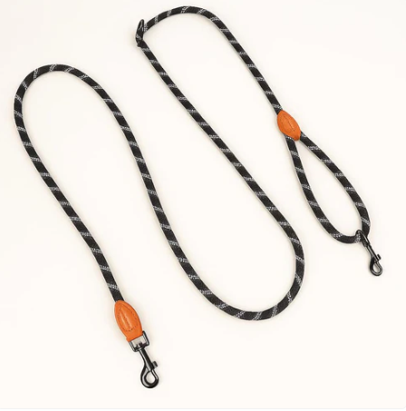 Laisse Mains Libre Pour Chien | Laisse Lasso