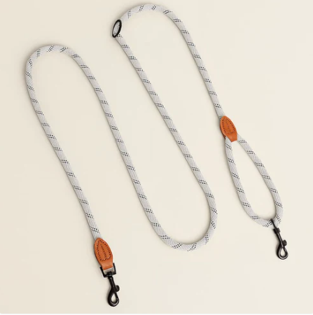 Laisse Mains Libre Pour Chien | Laisse Lasso