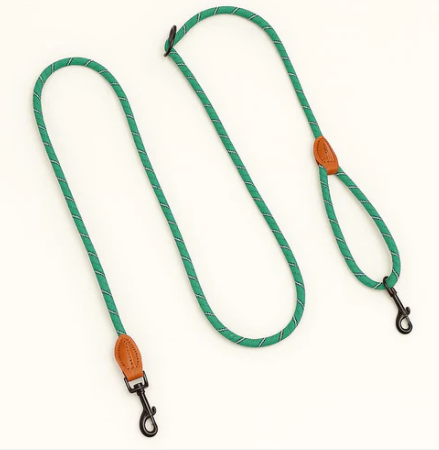 Laisse Mains Libre Pour Chien | Laisse Lasso