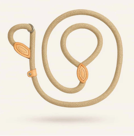 Laisse Lasso Pour Chiot