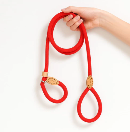 Laisse Lasso Pour Chien Moyen