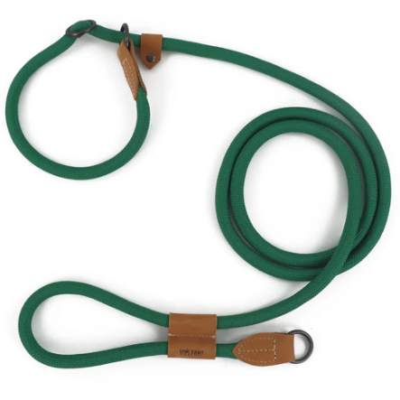 Laisse Lasso Pour Chien 2 à 3 Mètres