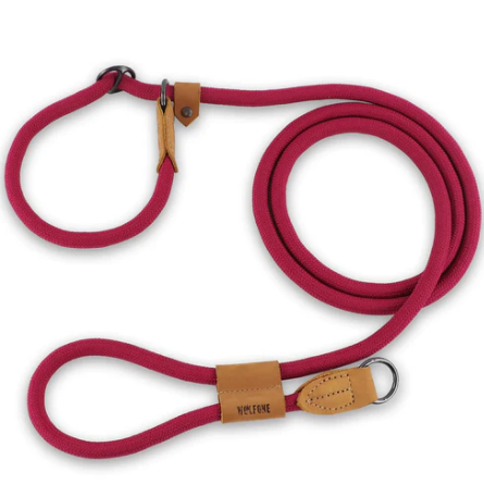 Laisse Lasso Pour Chien 2 à 3 Mètres