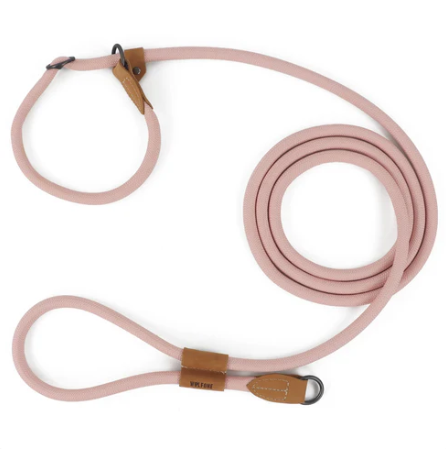 Laisse Lasso Pour Chien 2 à 3 Mètres