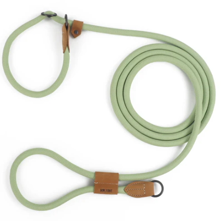 Laisse Lasso Pour Chien 2 à 3 Mètres