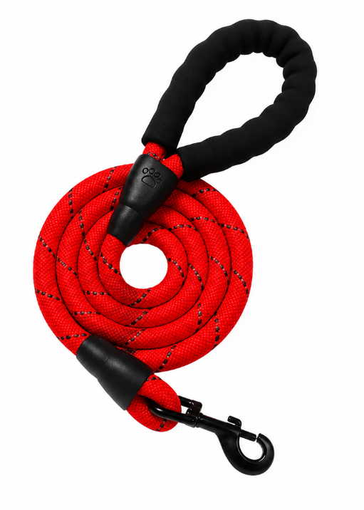 Laisse En Corde Pour Petit Chien