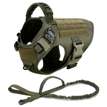 Harnais tactique complet pour chien avec accessoires