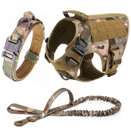 Harnais tactique complet pour chien avec accessoires