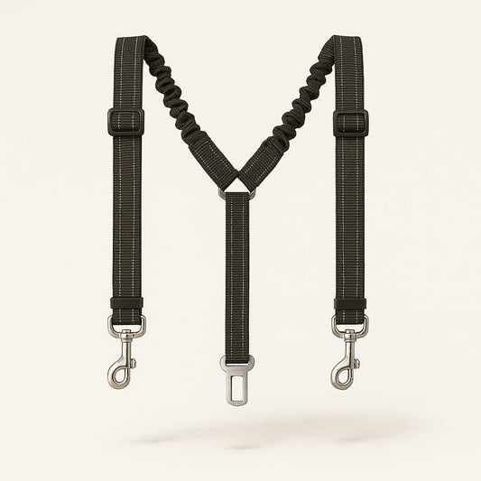 Ceinture de sécurité double pour chien en voiture