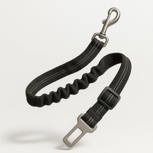 Ceinture de sécurité amortissante pour chien en voiture
