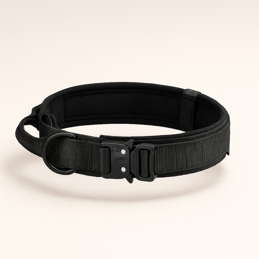 Harnais tactique pour chien avec collier et laisse