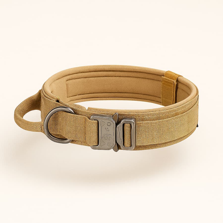 Harnais tactique pour chien avec collier et laisse