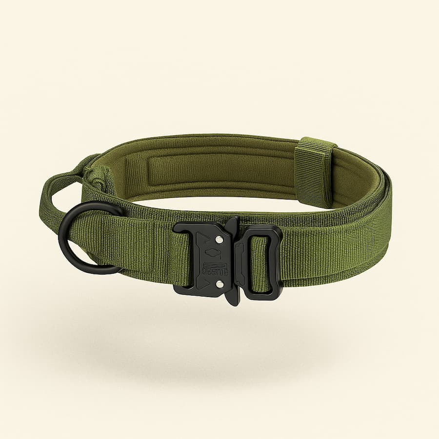 Harnais tactique pour chien avec collier et laisse