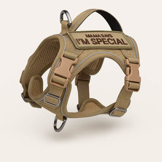 Harnais tactique confortable pour petit chien