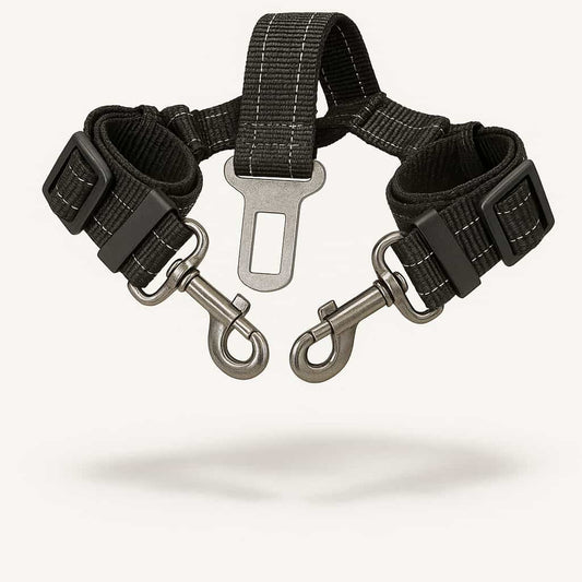 Ceinture de sécurité double pour chien en voiture