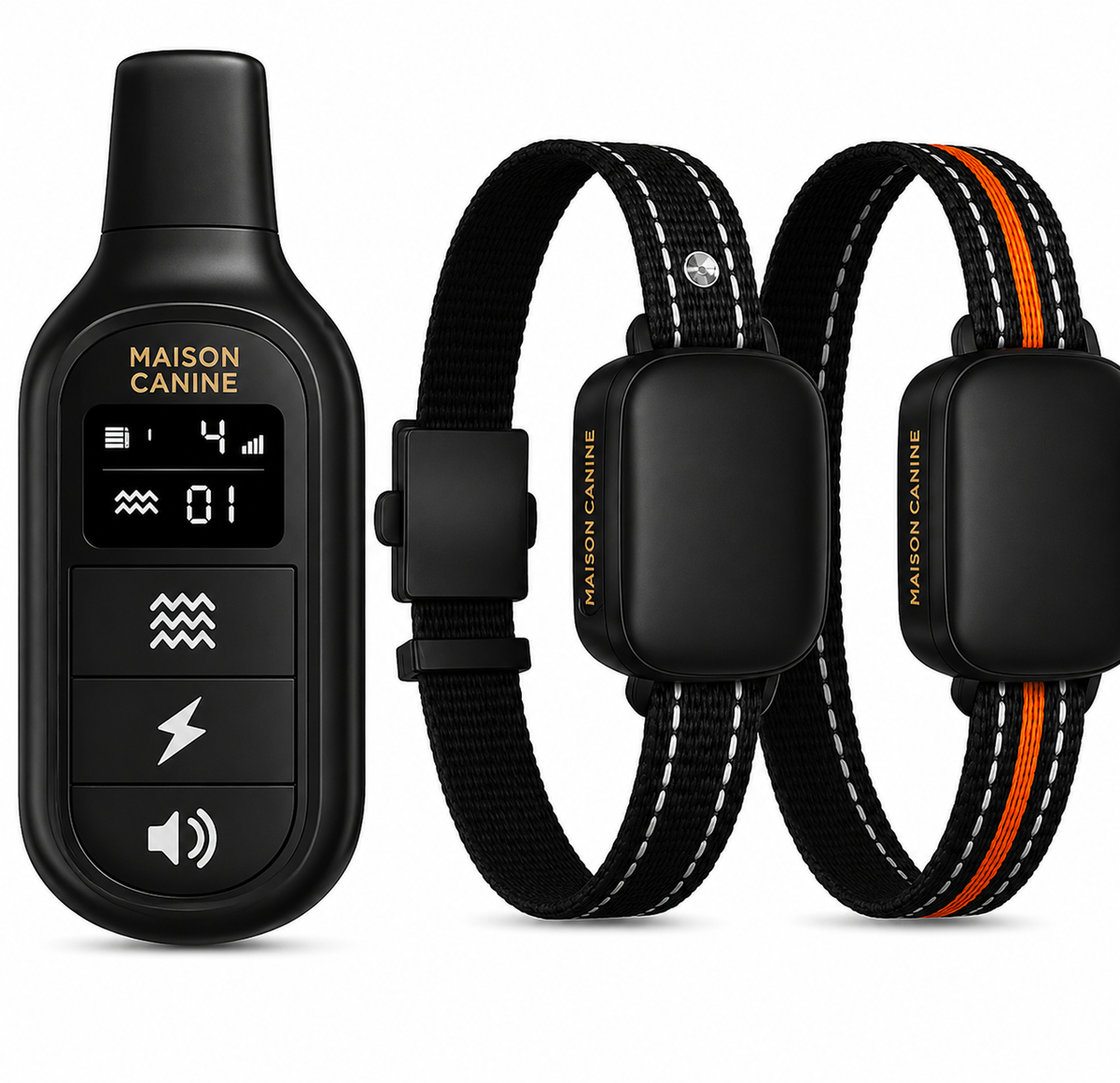 Collier Electrique De Dressage Pour Chien