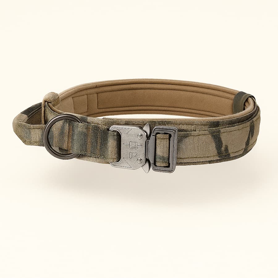 Harnais tactique pour chien avec collier et laisse