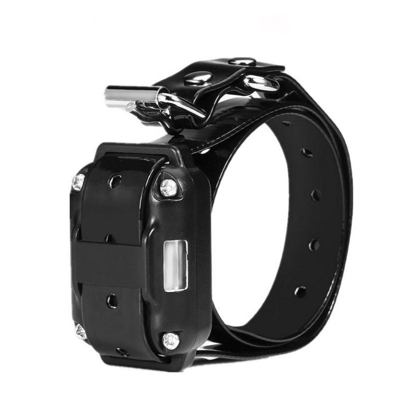 Collier anti-fugue sans fil pour chien