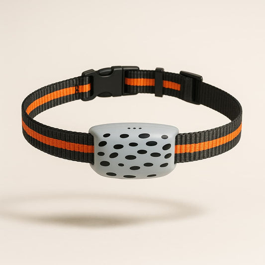 Collier De Localisation Pour Chien