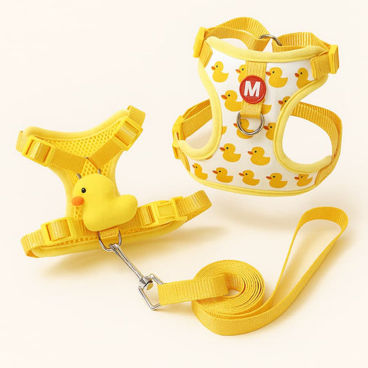 Harnais canard et laisse pour petit chien