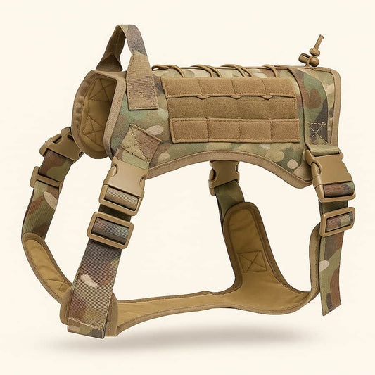 Harnais tactique pour chien avec collier et laisse