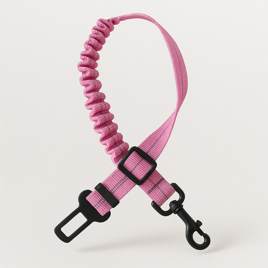 Ceinture de sécurité amortissante pour chien en voiture