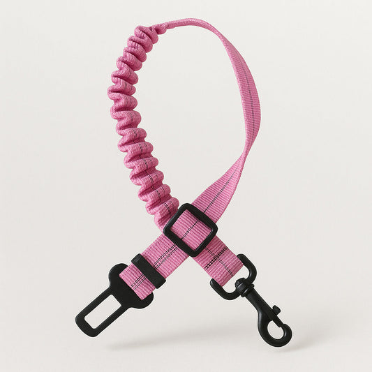 Ceinture de sécurité amortissante pour chien en voiture