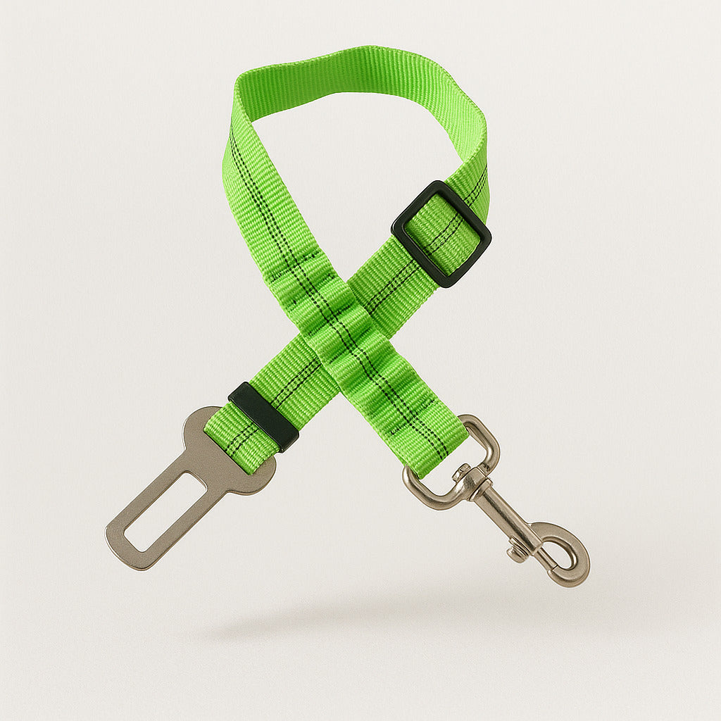 Ceinture de sécurité amortissante pour chien en voiture
