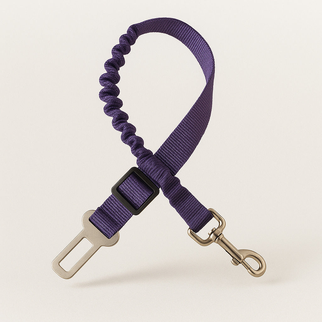 Ceinture de sécurité amortissante pour chien en voiture