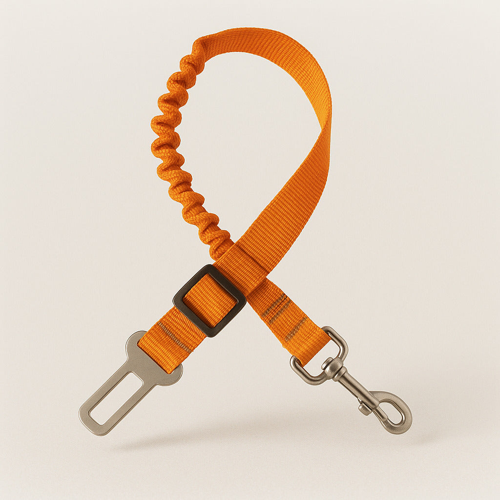 Ceinture de sécurité amortissante pour chien en voiture