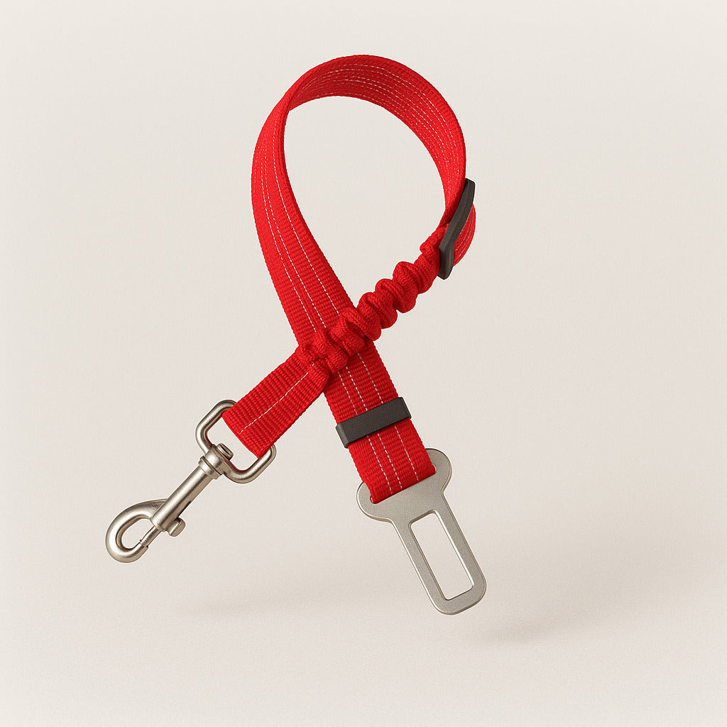 Ceinture de sécurité amortissante pour chien en voiture
