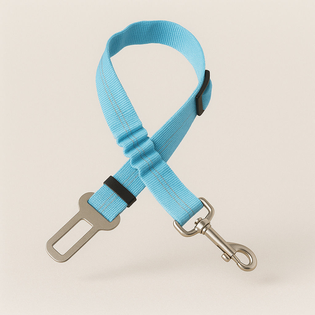 Ceinture de sécurité amortissante pour chien en voiture