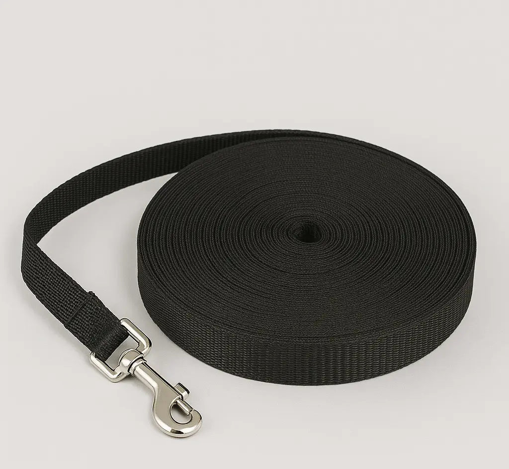 Longe Pour Chien 5 m