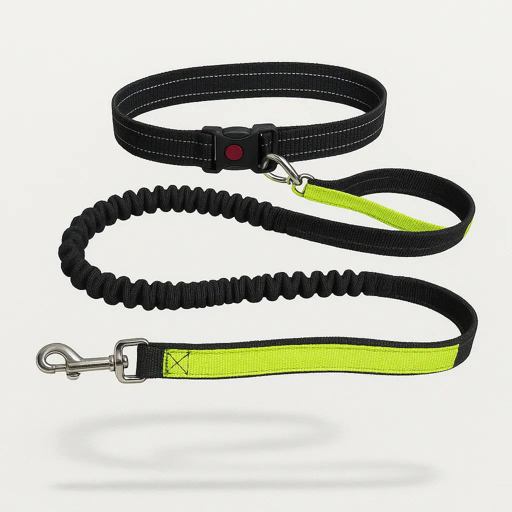 Ceinture Laisse Main Libre Pour Chien