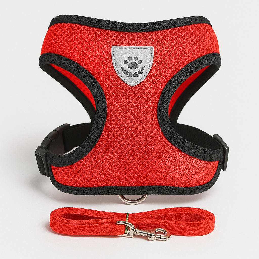 Harnais coloré réglable pour petit chien
